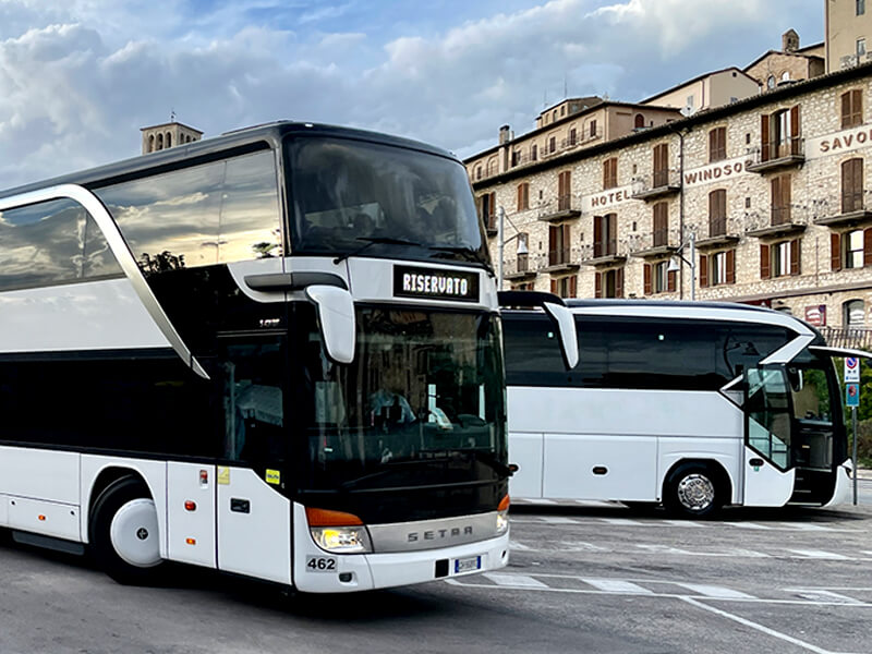 fleet of coach double decker 