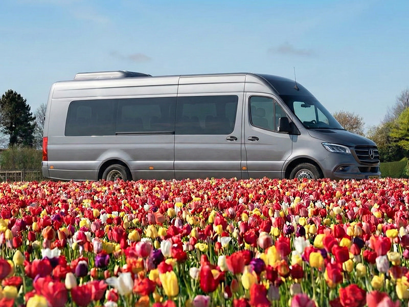 Minibus on field of tulips