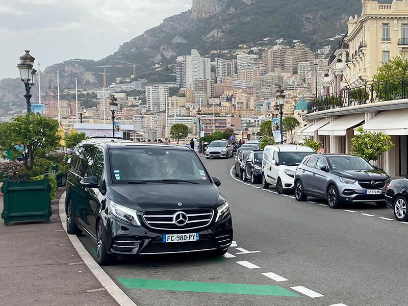real 8rental french large car